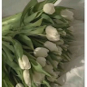 Meet your Posher, August